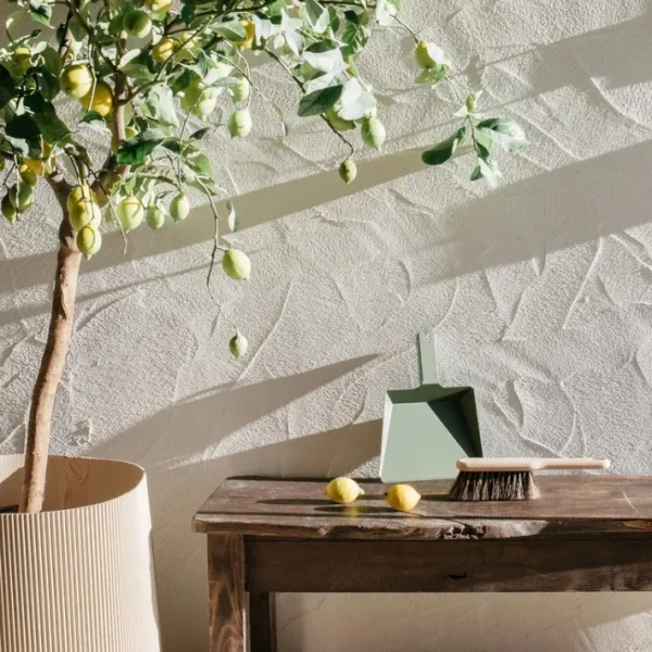 Balayette Craft Hêtre, Andrée Jardin