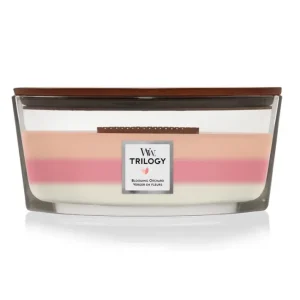 Bougie parfumée Ellipse Trilogy Verger en Fleurs, Woodwick