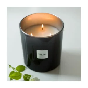 Bougie parfumée 450g Cèdre, Esteban