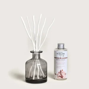 Bouquet parfumé Aroma Dream, Maison Berger