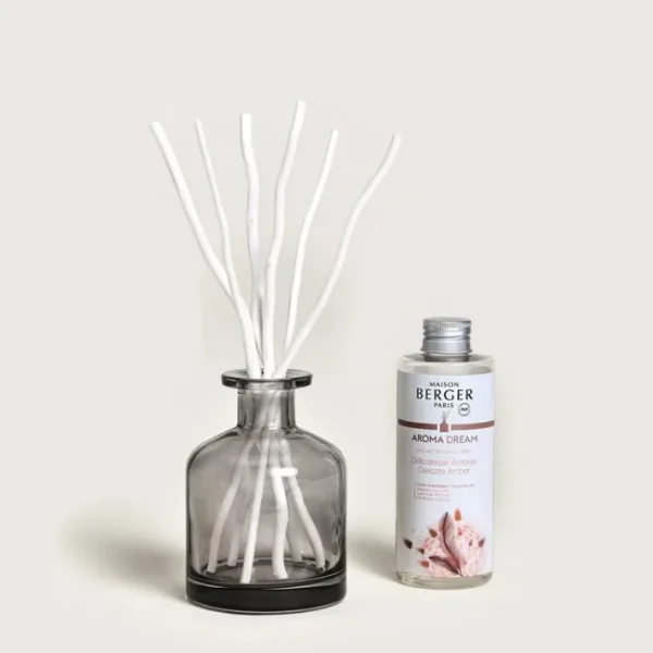 Bouquet parfumé Aroma Dream, Maison Berger