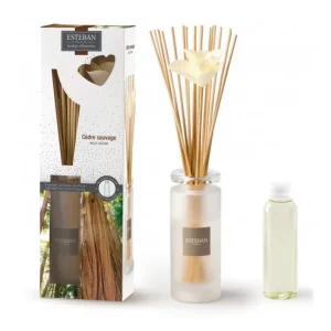 Bouquet parfumé Cèdre Sauvage, Esteban