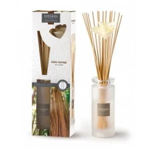 Bouquet parfumé Cèdre Sauvage, Esteban