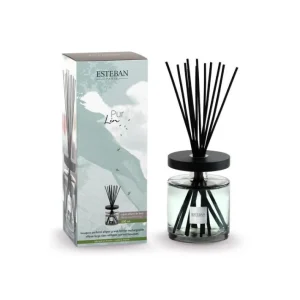 Bouquet parfumé Ellipse 500 ml Pur Lin, Estéban