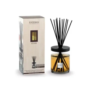 Bouquet parfumé Ellipse 500 ml Cèdre, Estéban
