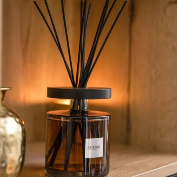 Bouquet parfumé Ellipse 500 ml Ambre, Estéban