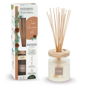 Bouquet parfumé Ellipse Cèdre Sauvage 200ml, Esteban