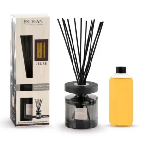 Bouquet parfumé Ellipse Cèdre, Esteban