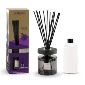 Bouquet parfumé Ellipse Figue Noire, Esteban