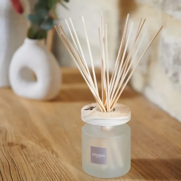 Bouquet parfumé Ellipse Monoï Soleil, Esteban