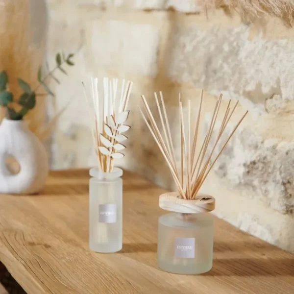 Bouquet parfumé Ellipse Monoï Soleil, Esteban