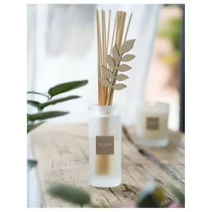 Bouquet parfumé Fraîcheur de Lin, Esteban