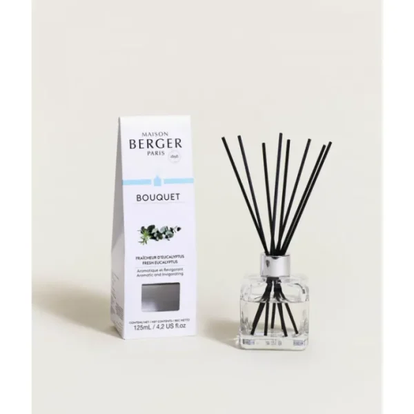 Bouquet parfumé Fraîcheur eucalyptus, Maison Berger