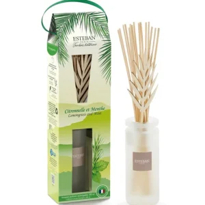 Bouquet parfumé 100ml Citronnelle et Menthe, Esteban