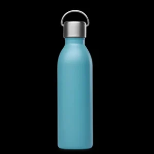 Bouteille isotherme Active Matt Acier, Qwetch