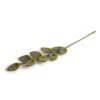 Branche de feuille pointue, Gry & Sif
