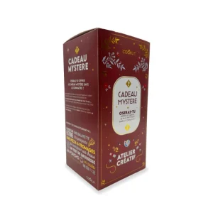 Cadeau Mystère Atelier Créatif, Cookut