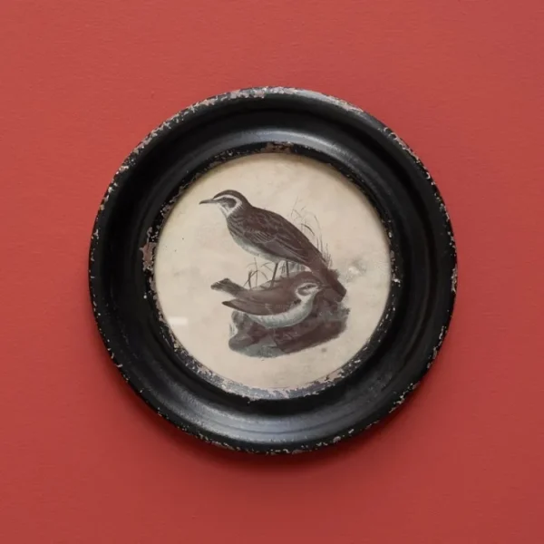Cadre rond Oiseau Long Bec, Chehoma
