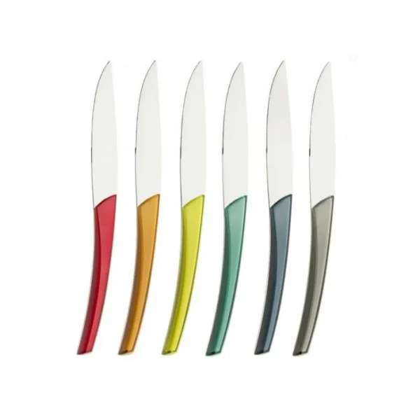 Coffret 6 couteaux à steak Quartz Multicolore, Guy Degrenne