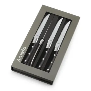 Coffret 4 couteaux steak Achille Noir, Amefa