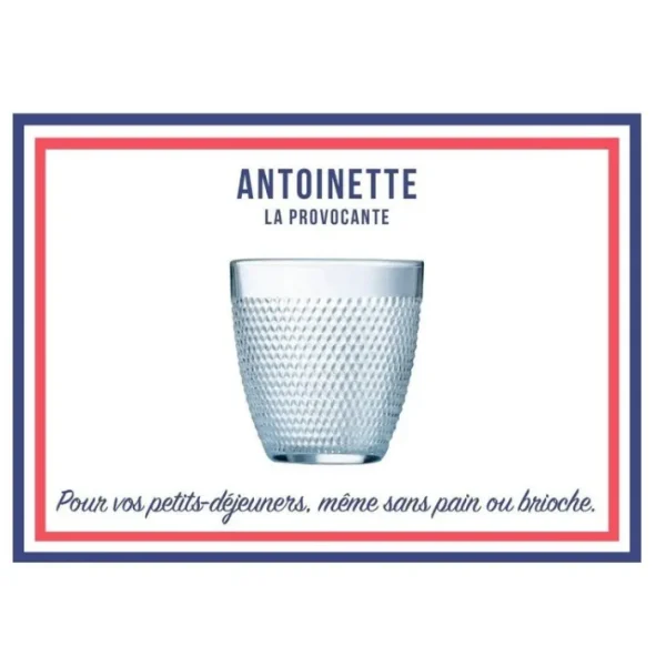 Coffret 6 Gobelets Antoinette 31 cl, Le Verre Français