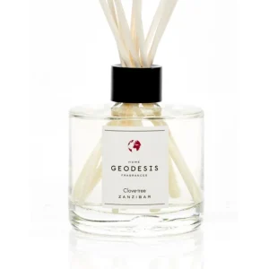 Diffuseur de parfum Giroflier, Geodesis