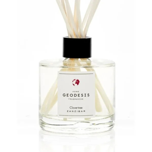 Diffuseur de parfum Giroflier, Geodesis
