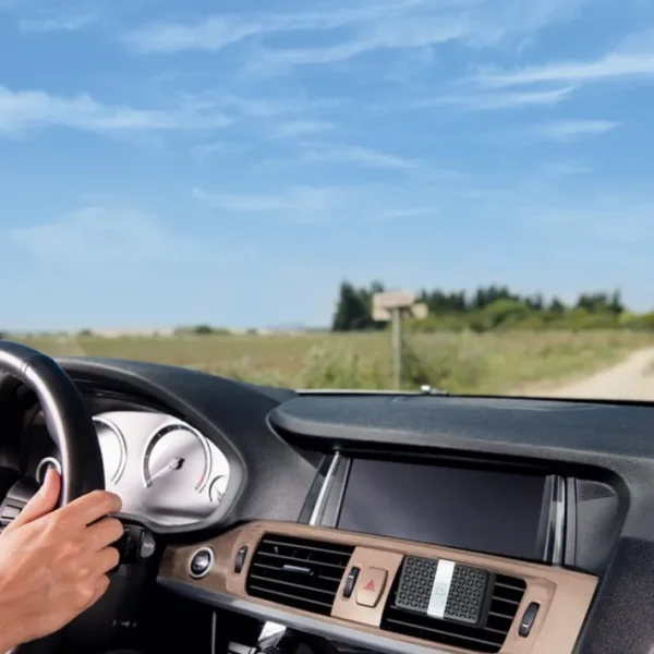 Diffuseur de voiture Cèdre Sauvage, Esteban