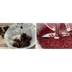 Disque poudre pour processeur, Bamix