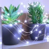 Guirlande électrique micro LED Blanc pur, Blachère illumination