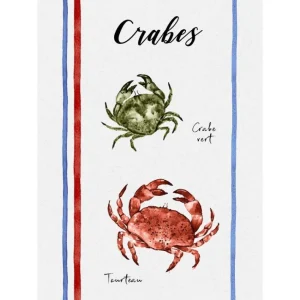 Lot de 3 torchons Fruits de Mer 50 x 70 cm, Sud Etoffe