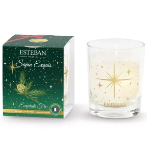 Mini bougie Sapin Exquis, Estéban