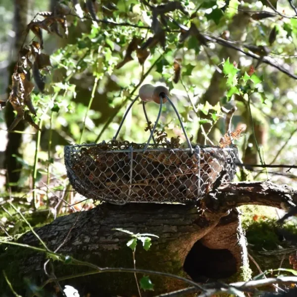 Panier de récolte, Andrée Jardin