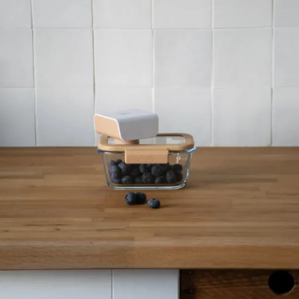 Pompe de mise sous-vide, Pebbly