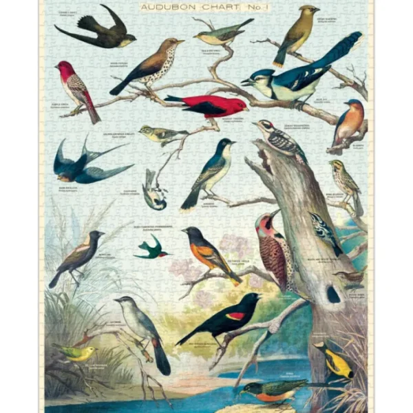 Puzzle 1000 pièces Audubon, Cavallini & Co