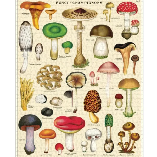 Puzzle 1000 pièces Champignons, Cavallini & Co