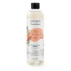 Recharge de bouquet parfumé Pêche de Vigne, Esteban