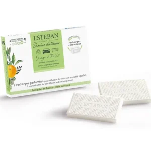 Recharge parfumée pour diffuseur de voiture Orange et Thé Vert, Esteban