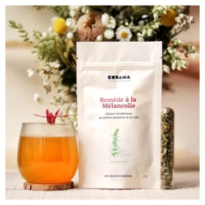 Remède à la mélancolie, Kodama