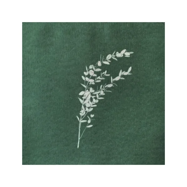 Serviettes en papier Eucalyptus, Françoise PAVIOT