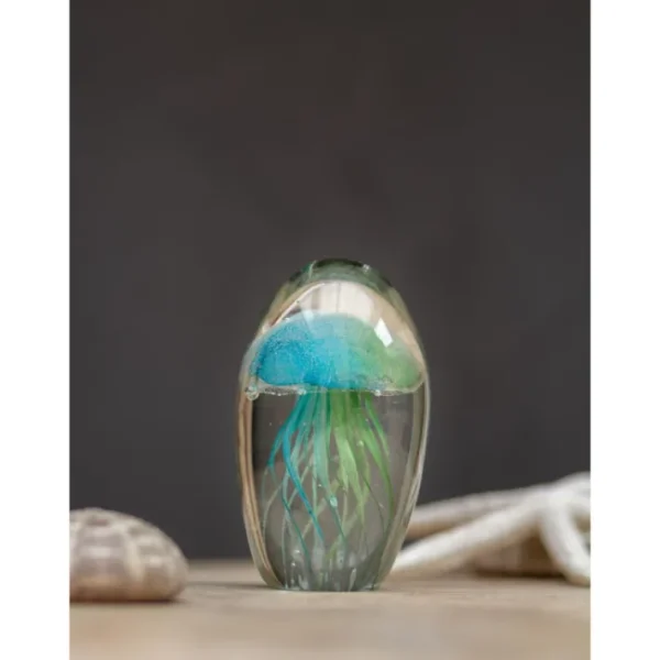 Sulfure Méduse verte et bleue, Chehoma