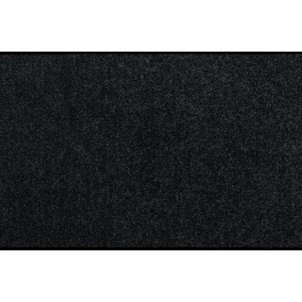 Tapis Schwarz, Salonloewe Efia