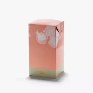 Thé glacé Pêche en sachets, Dammann Frères