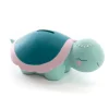 Tirelire Tortue, Amadeus Les Petits
