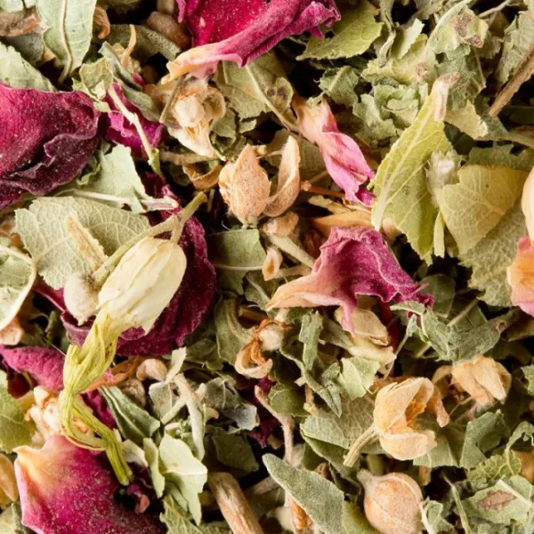Tisane Bali, Dammann Frères