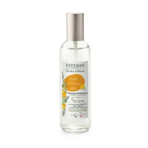 Vaporisateur 100 ml Ambre et Baume, Esteban