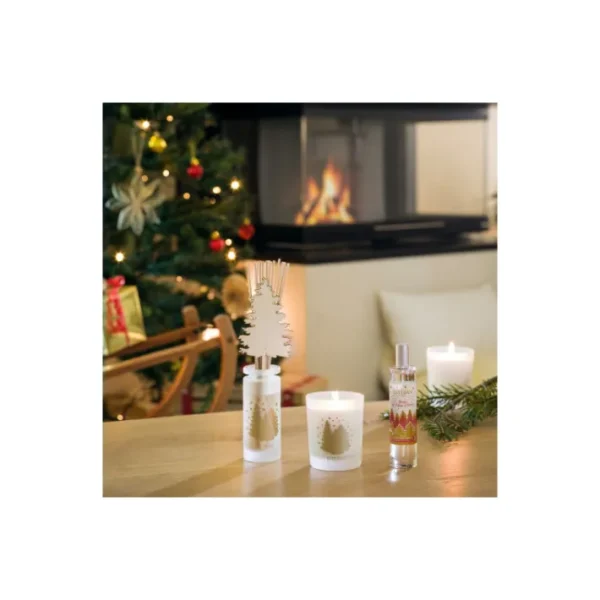 Vaporisateur 75 ml Baies et Fleur d'Hiver, Esteban